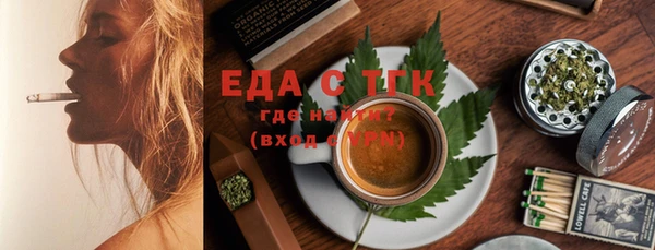 тгк Абаза