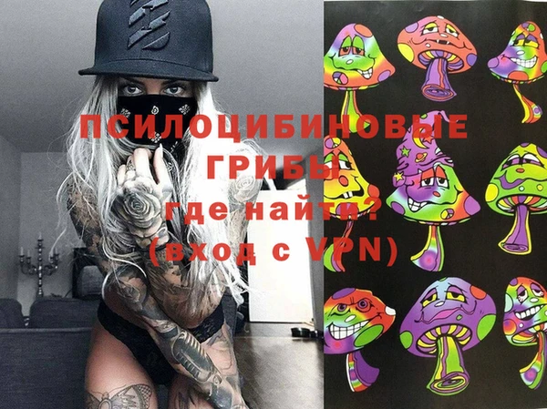 мдпв Алексин